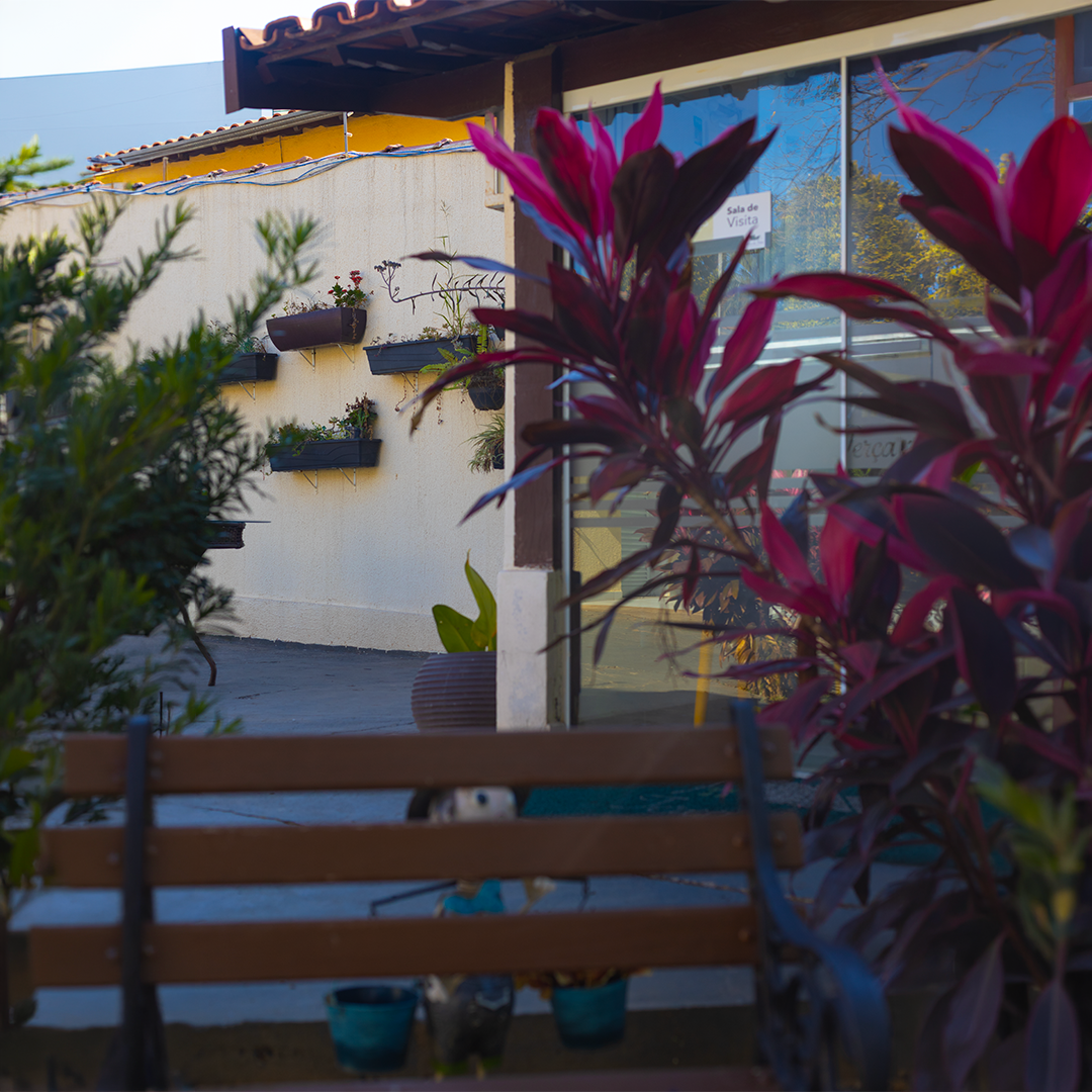 Terça da Serra Hortolândia - Unidade 1 (Foto 6)